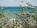 Western Michigan [2010] 564